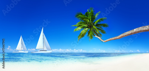Fototapeta Naklejka Na Ścianę i Meble -  Yacht Beach Blue Sky Palm Tree Leisure Concept