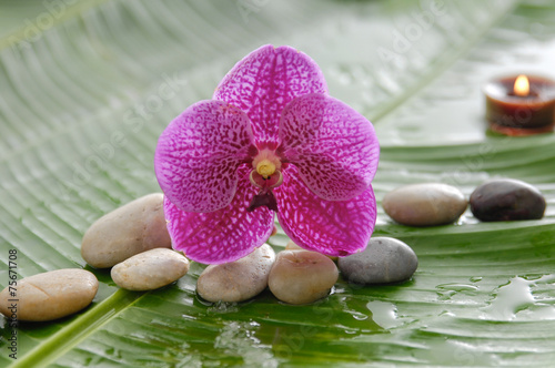pink orchid and stones, candle on wet banana leaf