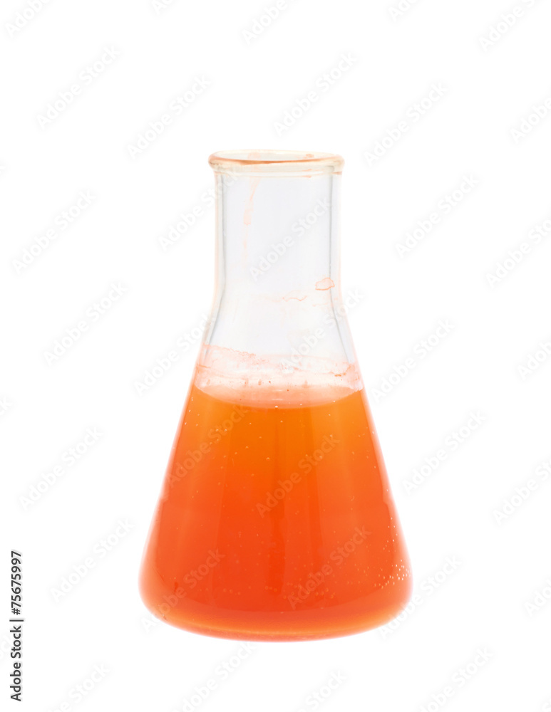 Erlenmeyer flask filled with liquid Erlenmeyer flask filled with liquid