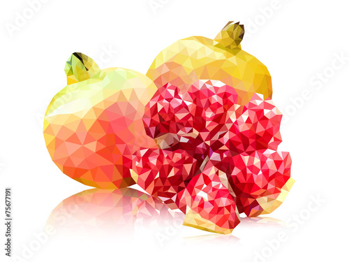 Polygon pink pomegranate