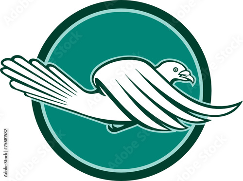 Pigeon Bird Racing Flying Side Circle Retro