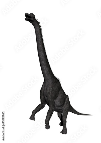 brachiosaurus dinosaur - 3d render © Mariephotos