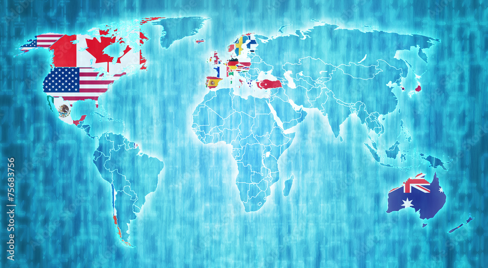 Obraz premium OECD territory on world map