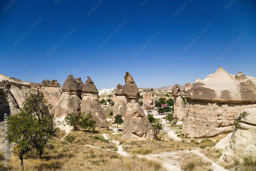 Cappadocia. View of the beautiful Valley of Monks (Pashabag)