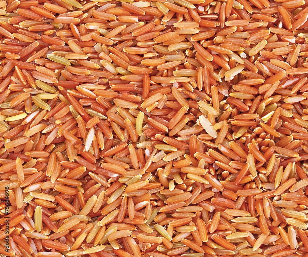 Organic rice background