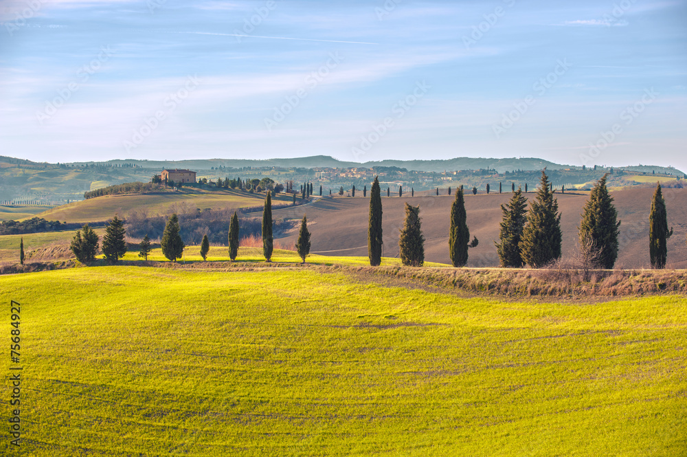 Artistic Tuscan landscape with cypresses, wavy fields and house