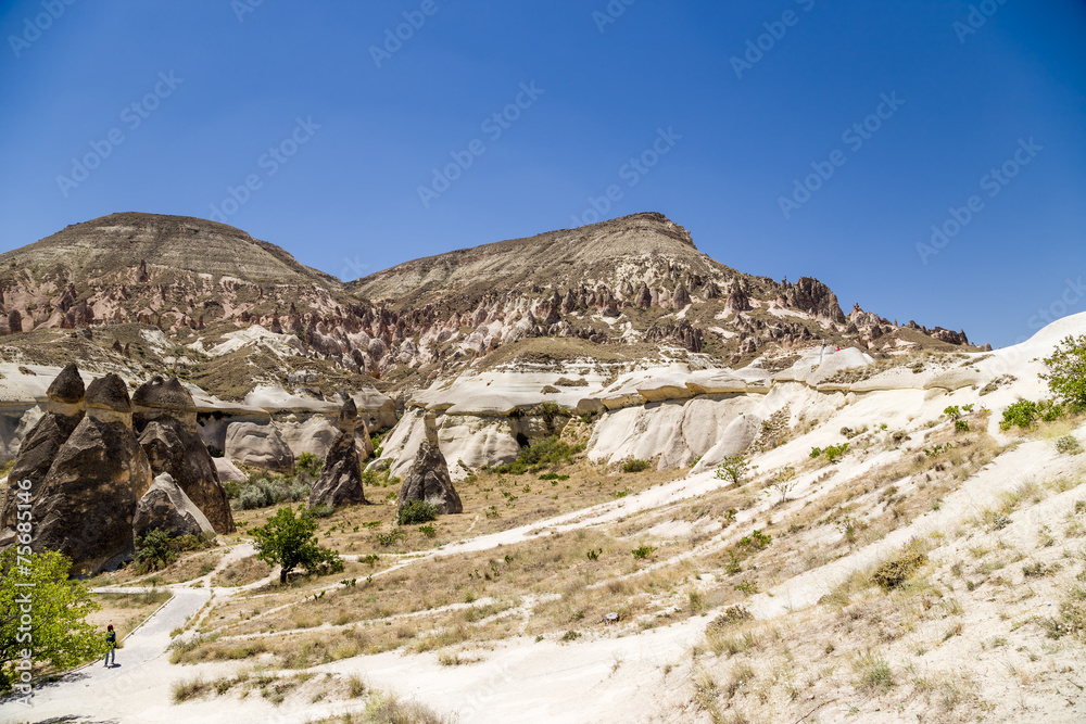 Cappadocia. Whimsical job of weathering the  Pashabag Valley