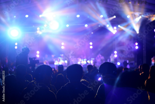A crowd of cheering fans during a live concert