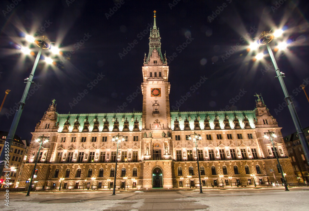 Fototapeta premium Town Hall in Hamburg, Germany