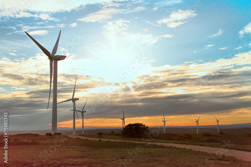 Wind Park near Villeveyrac, south of France photo