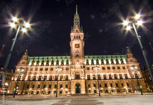 Town Hall in Hamburg, Germany © robertdering