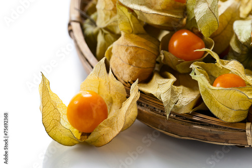 Cuadro en lienzo Physalis