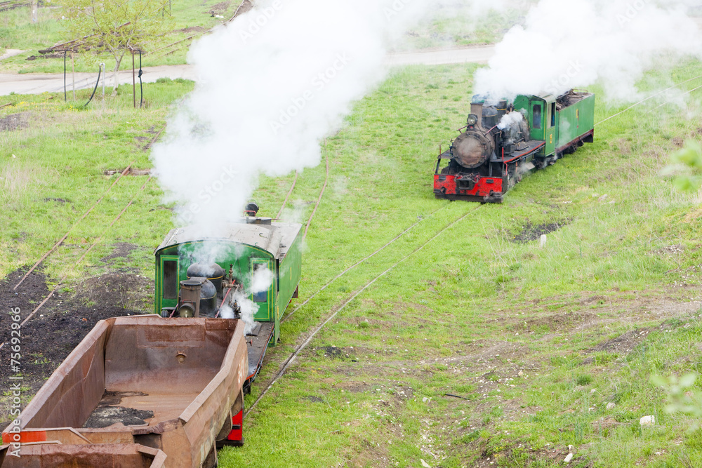 Obraz premium steam freight trains, Kostolac, Serbia