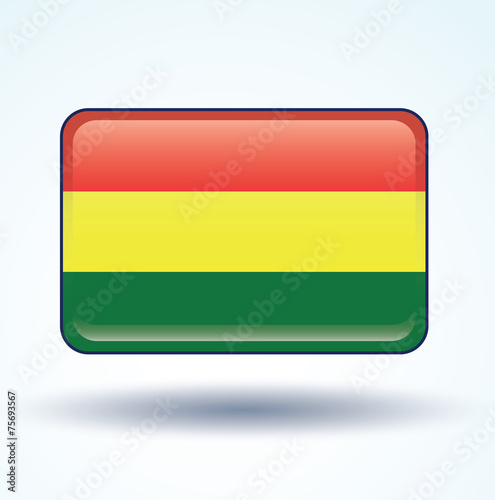Flag set of Bolivia, vector illustration