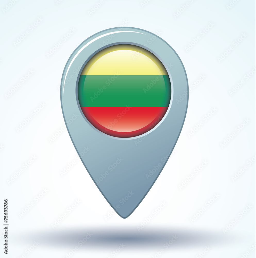 Flag set of Lithuania, vector illustration Flag set of Lithuania, vector illustration