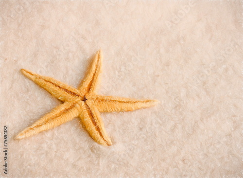 starfish - illustration based on own photo image