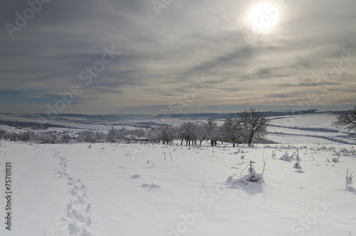 Winter tale in the fields of northern Bulgaria