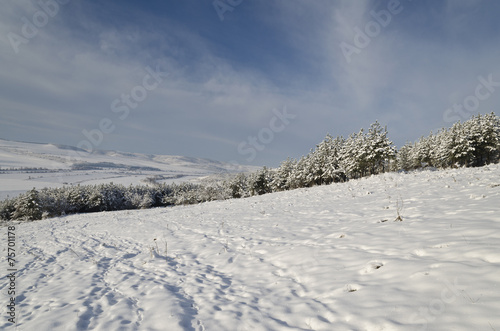 Winter tale in the fields of northern Bulgaria © nerksi