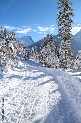Weg im Schnee © rupbilder