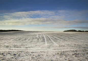 Papier peint photo Le salon Field in a winter.  © Ludmila Smite
