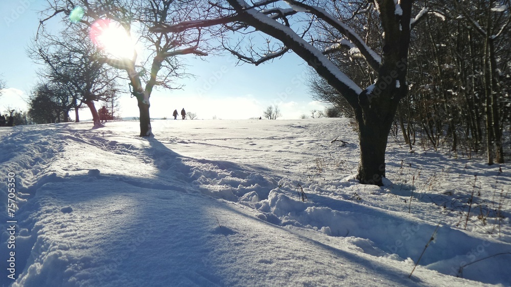 Fototapeta premium Wiener Winterwonderland