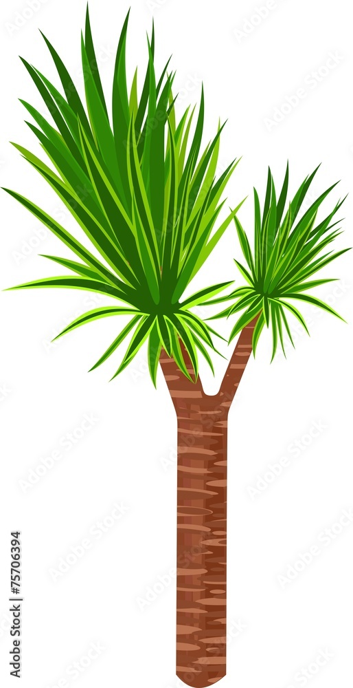 Naklejka premium Yucca