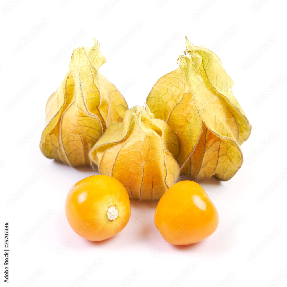 Set of Physalis heap isolated on white Set of Physalis heap isolated on white