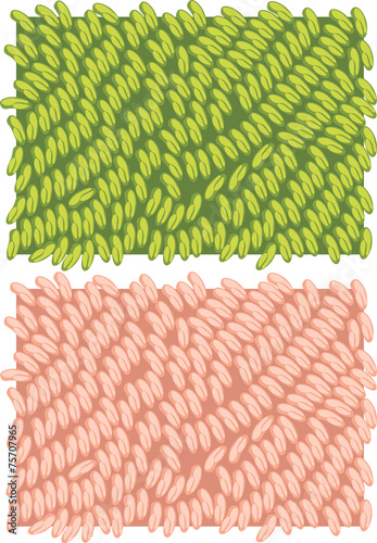 Fragment of a carpet texture