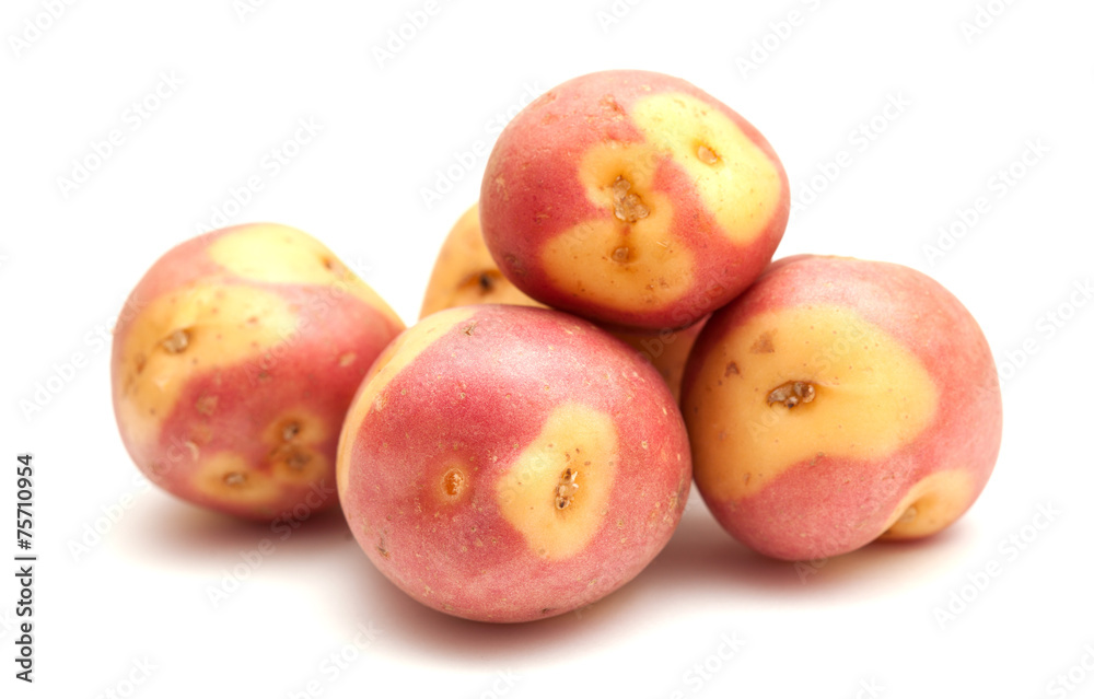 Canary islands potatoes