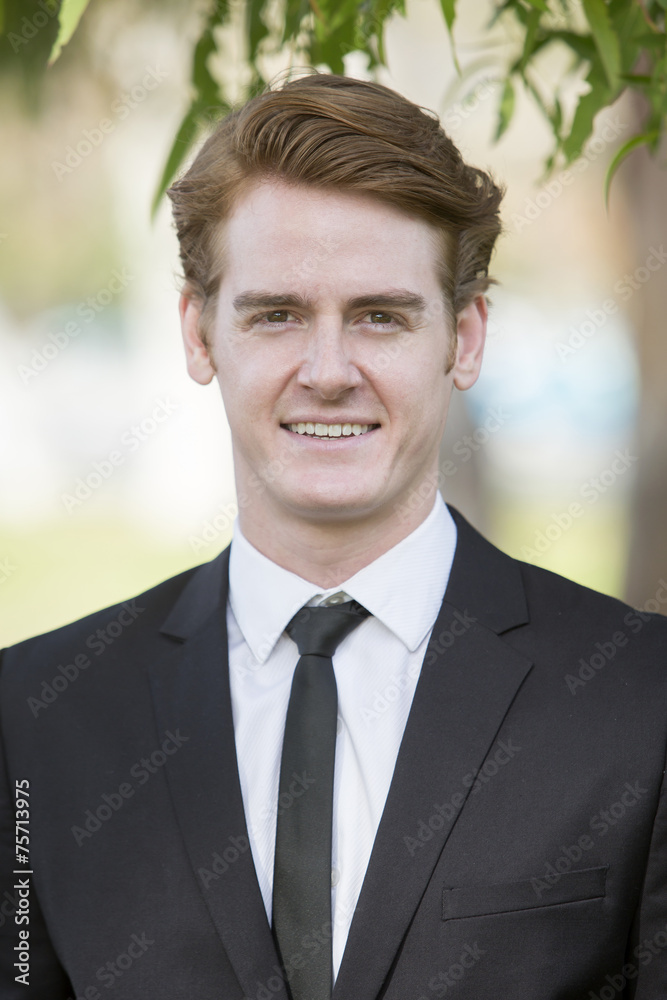 portrait of a businessman portrait of a businessman