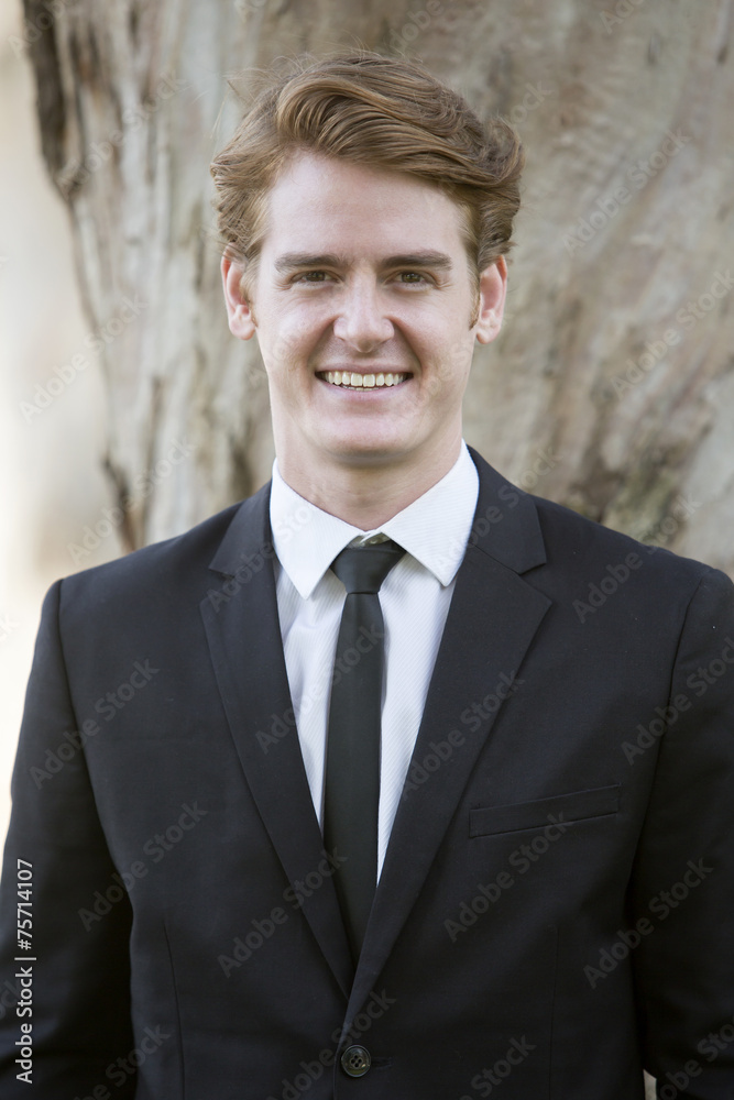 portrait of a businessman portrait of a businessman