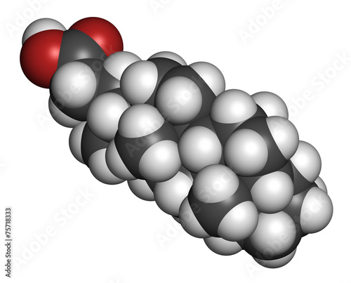 Bile acid (cholic acid, cholate) molecule. photo