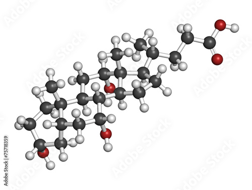 Bile acid (cholic acid, cholate) molecule. photo