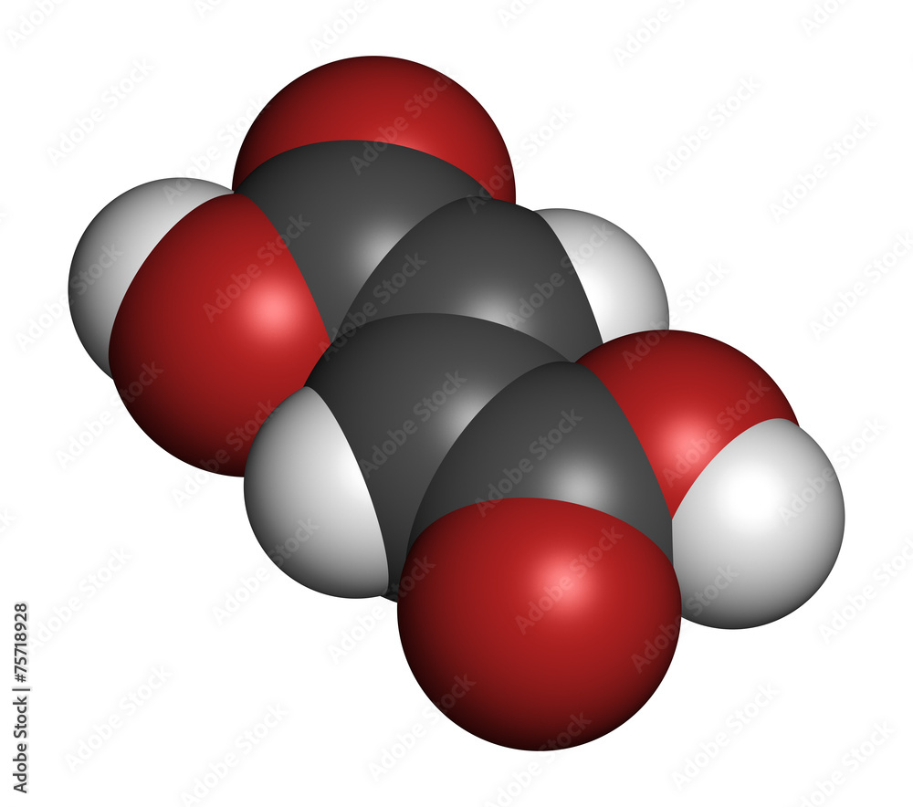 Fumaric acid molecule. Found in bolete mushrooms, lichen, etc Fumaric acid molecule. Found in bolete mushrooms, lichen, etc