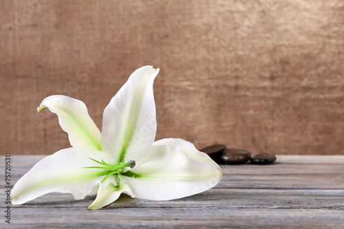 Fototapeta Naklejka Na Ścianę i Meble -  Beautiful lily on wooden table