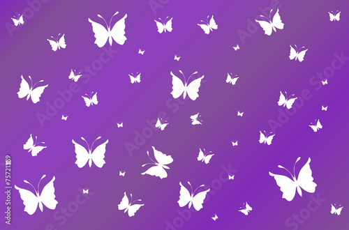White butterflies on purple wallpaper gradient