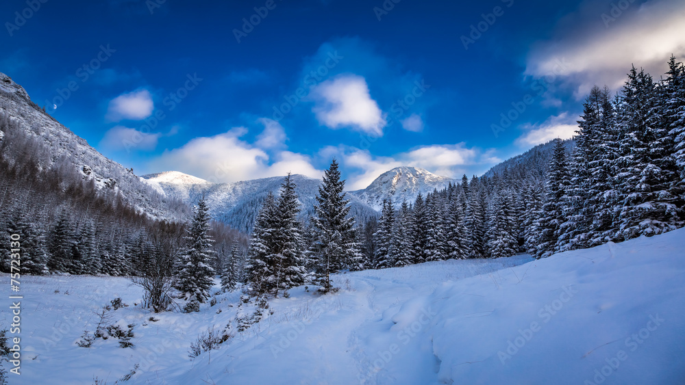 Winter in the Tatras