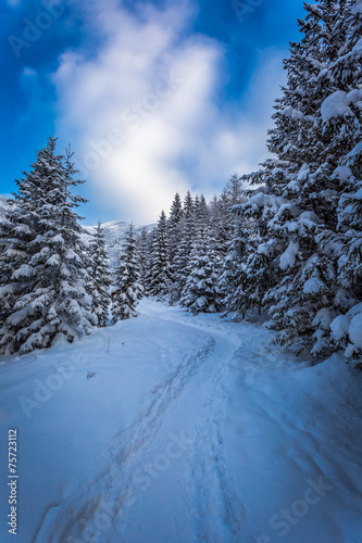 Fototapeta Naklejka Na Ścianę i Meble -  Mountain trail in snow valley