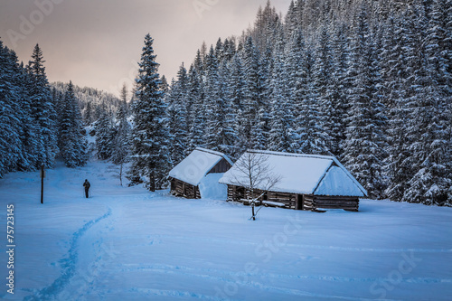 Lone man on winter mountain trail © shaiith
