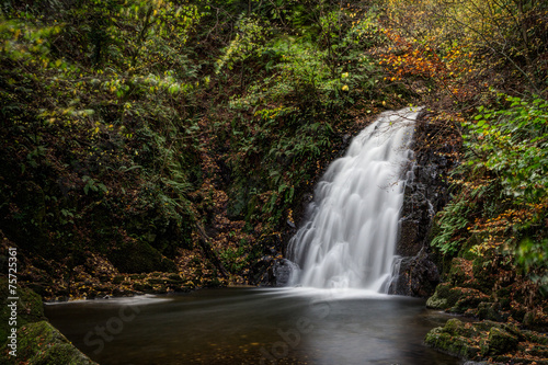 Fototapeta Naklejka Na Ścianę i Meble -  Waterfall in Autumn