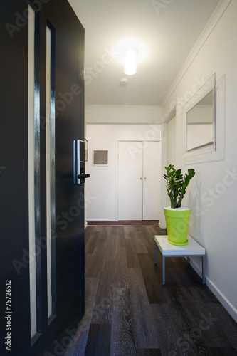 Contemporary home entrance front door and hallway