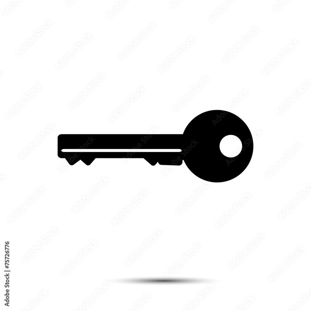 Key Icon Key Icon