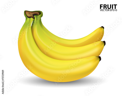 banana on white background.vector 