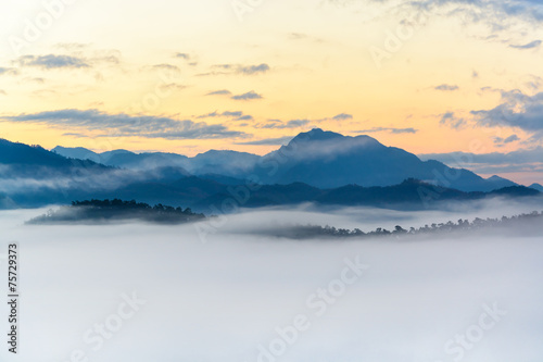 Fog on the mountain