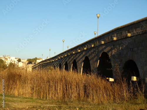 Puente romano de Mérida 2 photo