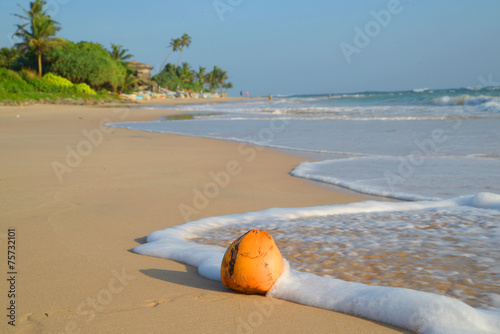 Fototapeta Naklejka Na Ścianę i Meble -  Tropical beach in Sri Lanka