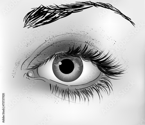 Eye vector illustration