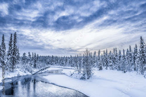Winterlandschaft