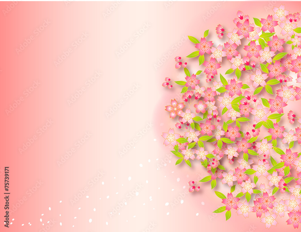 Fototapeta premium 桜93