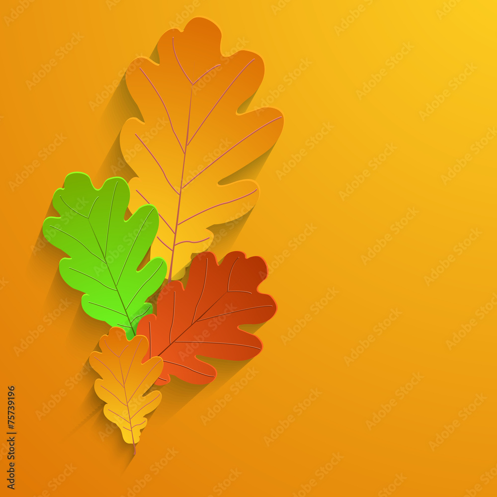 Fototapeta premium Vector modern autumn element design.